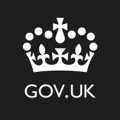 company-information.service.gov.uk icon