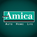 Amica icon