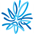 AMP icon