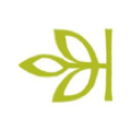 Ancestry icon