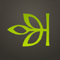 Ancestry icon