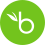 Passkeys App for BambooHR