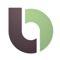 Bitso icon