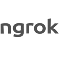 ngrok icon