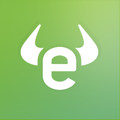 eToro icon