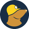 Mullvad icon
