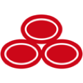 State Farm icon