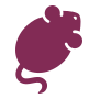 Passkeys App for Tolgee