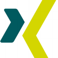 Xing icon